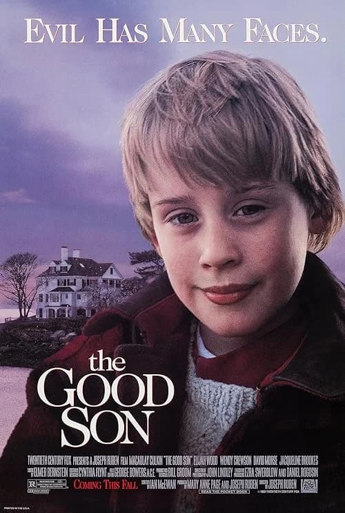 The Good Son film posteri